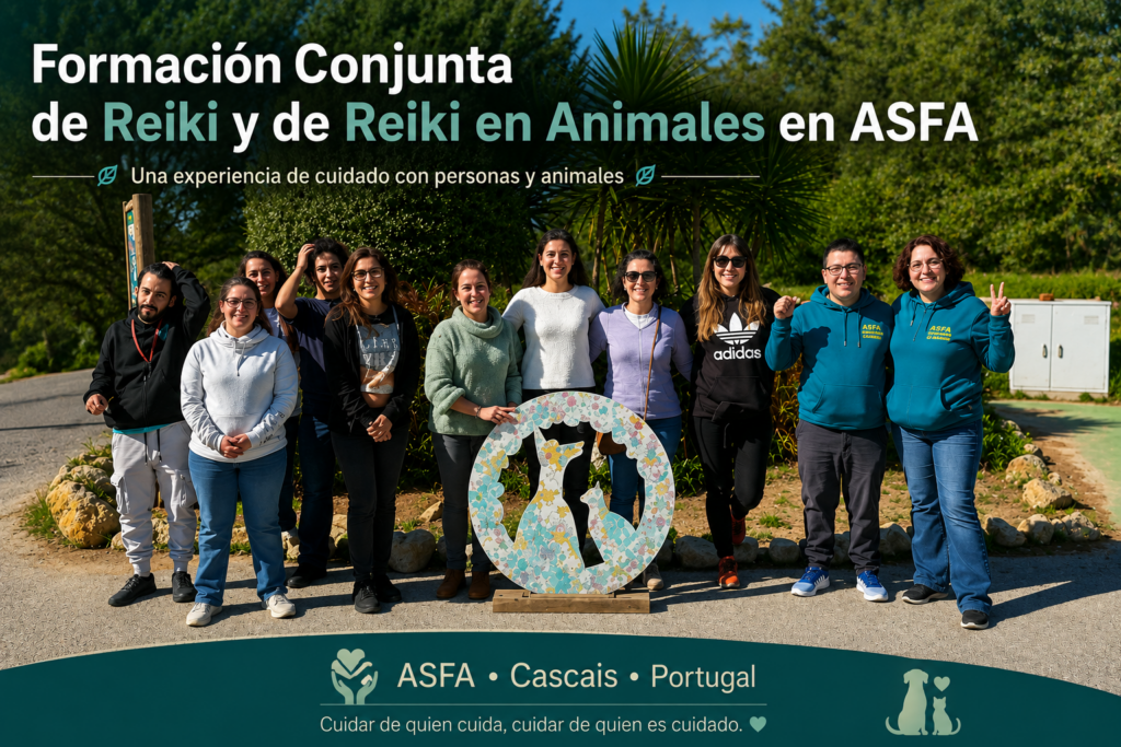 Formación Conjunta de Reiki y Reiki en Animales en ASFA