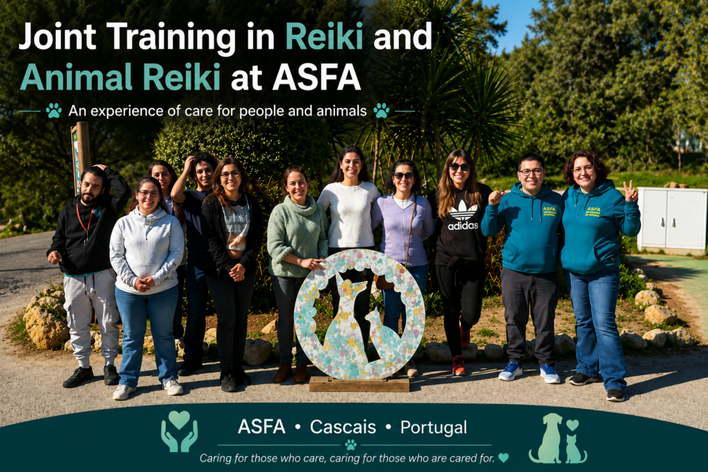Joint Reiki and Animal Reiki Training at ASFA